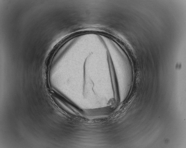 X0000099501360200806121405