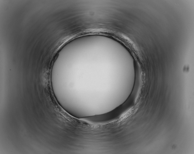 X0000099501361200806121405