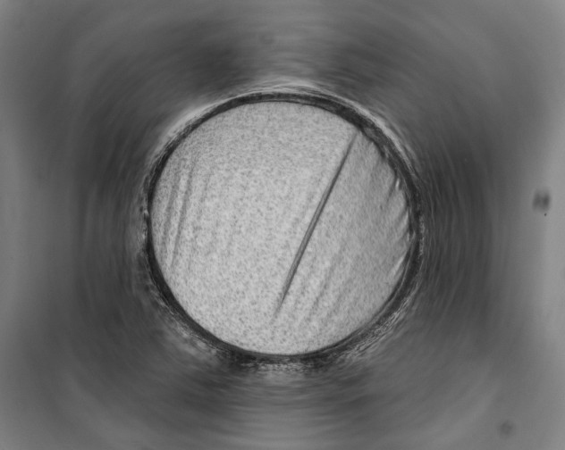 X0000099501363200806121405