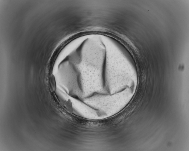 X0000099501364200806121405