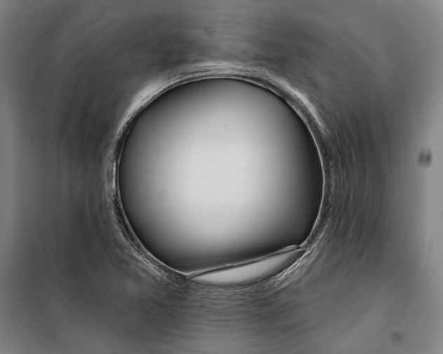 X0000099501365200806121405