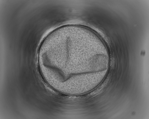 X0000099501366200806121405