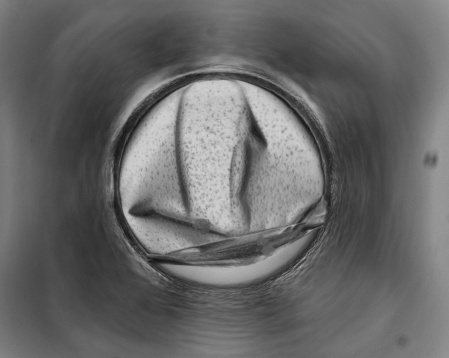 X0000099501368200806121405