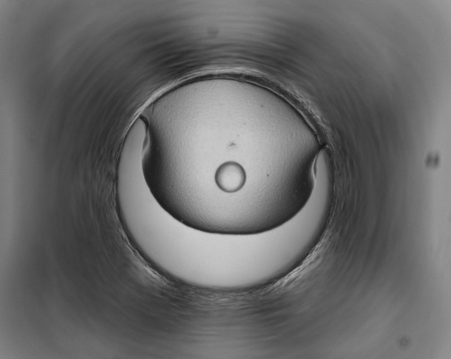 X0000099501369200806121405