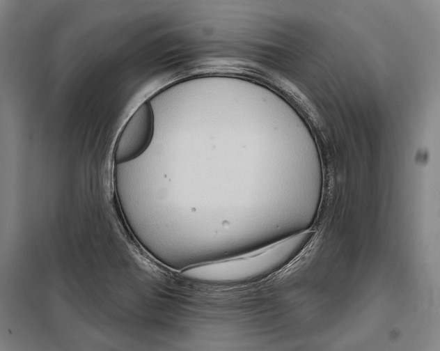 X0000099501370200806121405