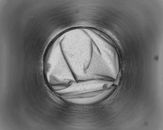 X0000099501372200806121405