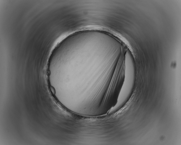 X0000099501373200806121405