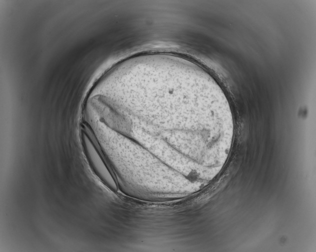 X0000099501374200806121405