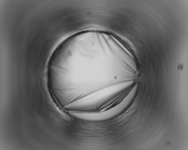 X0000099501375200806121405