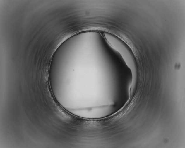 X0000099501377200806121405