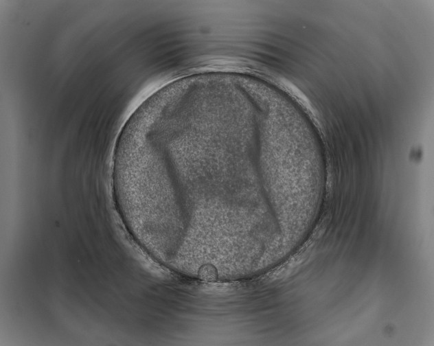 X0000099501378200806121405