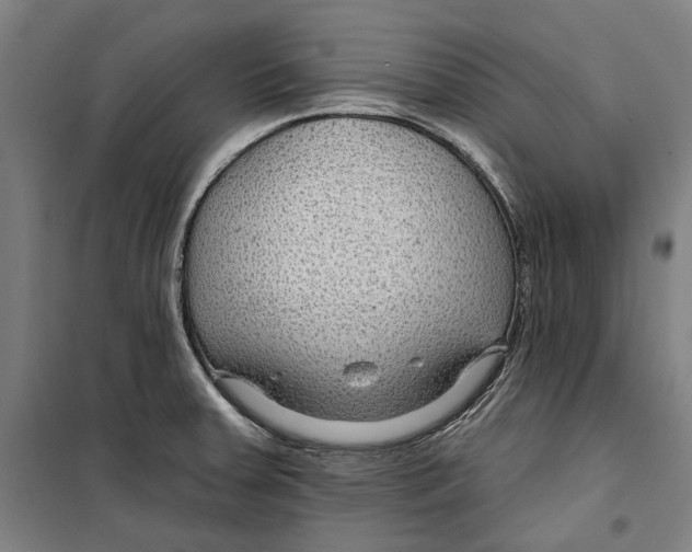 X0000099501379200806121405