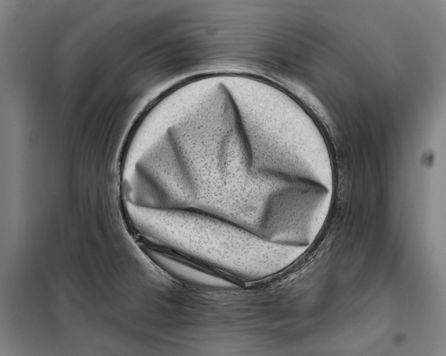 X0000099501380200806121405