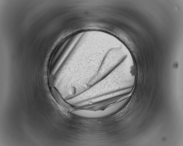 X0000099501384200806121405