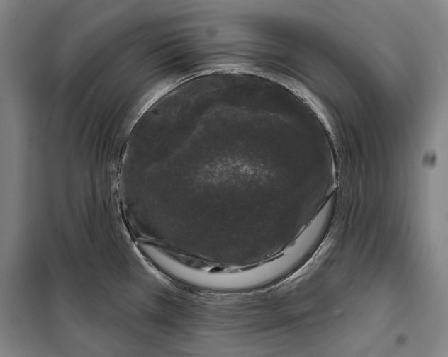 X0000099501385200806121405