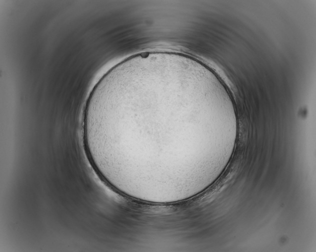 X0000099501387200806121405