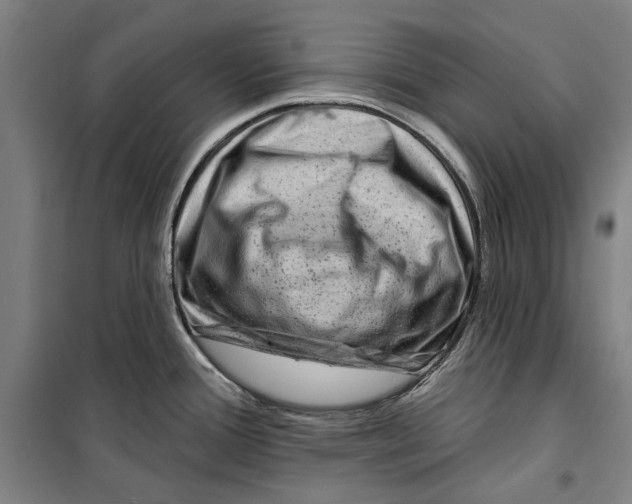 X0000099501388200806121405