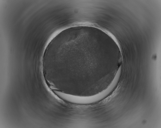 X0000099501389200806121405