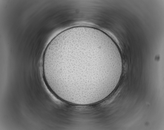 X0000099501391200806121405