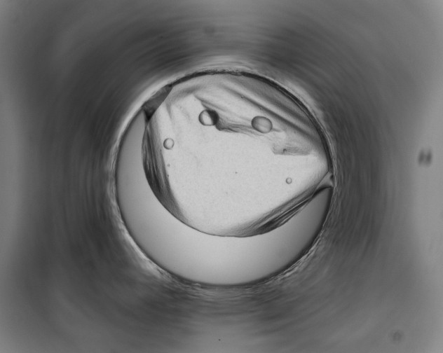 X0000099501392200806121405