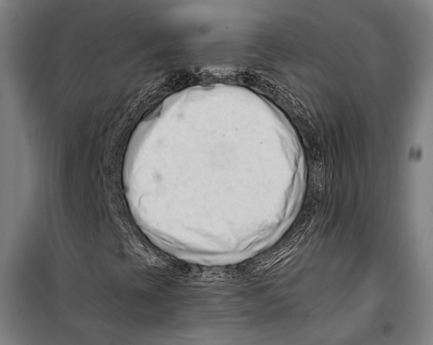 X0000099501393200806121404