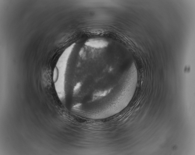 X0000099501394200806121404