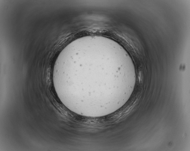 X0000099501396200806121404