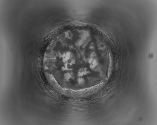 X0000099501397200806121404