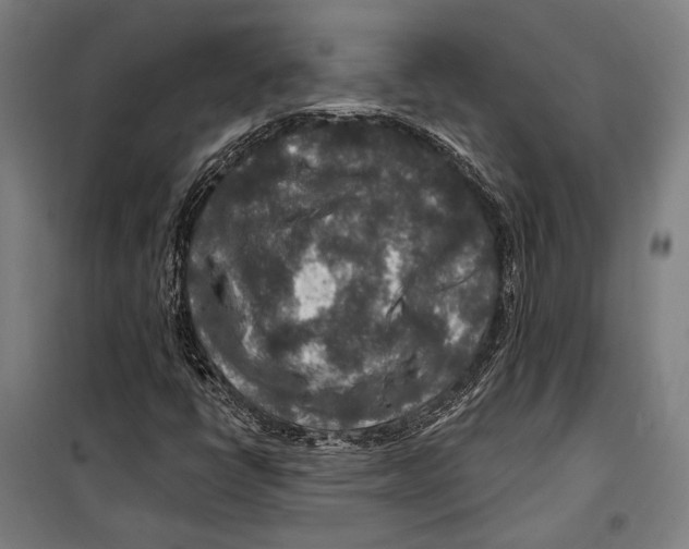 X0000099501398200806121404