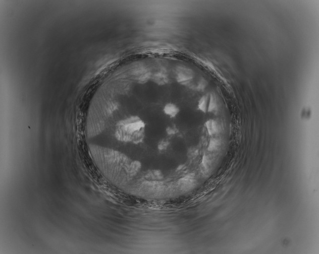 X0000099501399200806121404