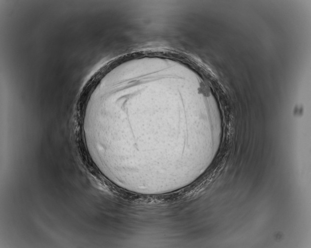 X0000099501400200806121404