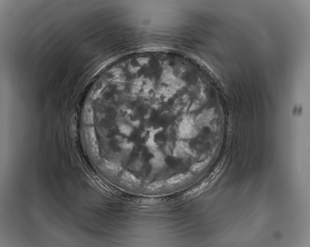 X0000099501401200806121404