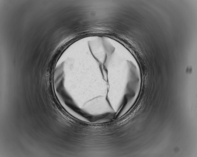 X0000099501402200806121404