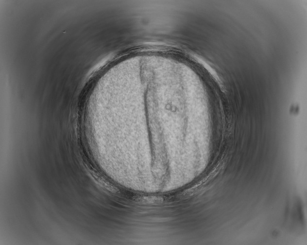 X0000099501403200806121404