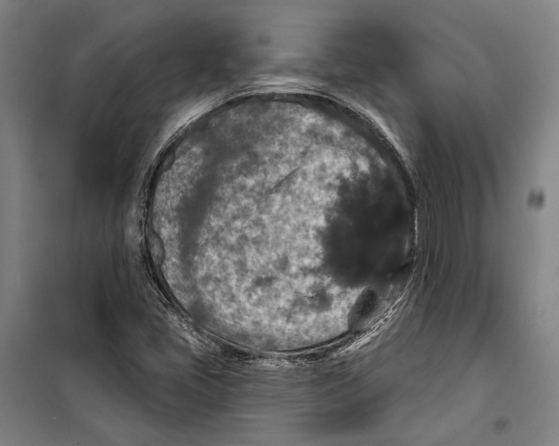 X0000099501405200806121404