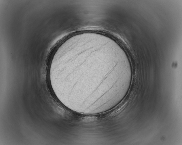 X0000099501406200806121404