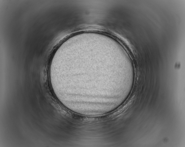 X0000099501407200806121404