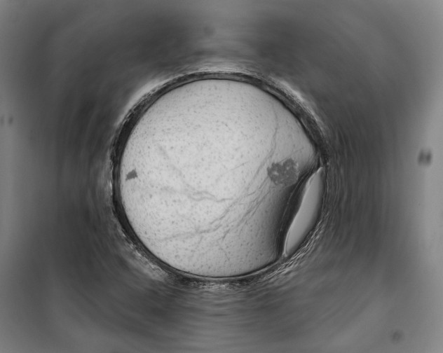 X0000099501408200806121404