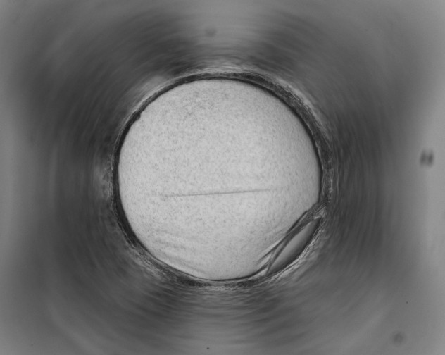 X0000099501409200806121404