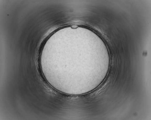 X0000099501410200806121404