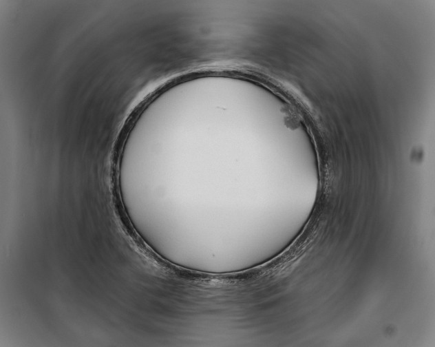 X0000099501412200806121405