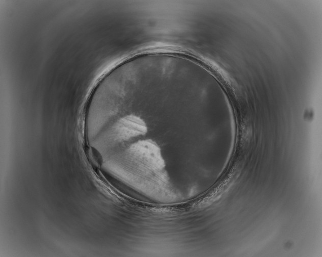 X0000099501413200806121405