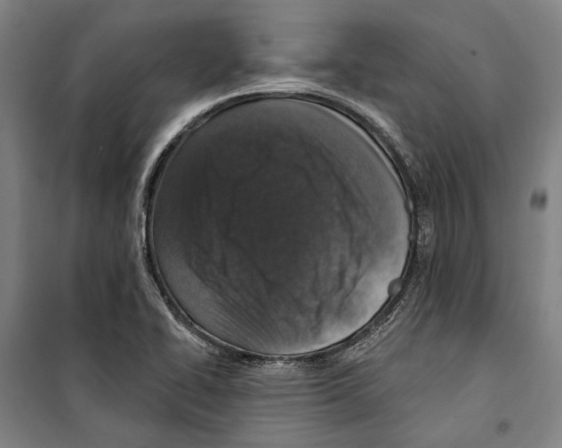 X0000099501414200806121405