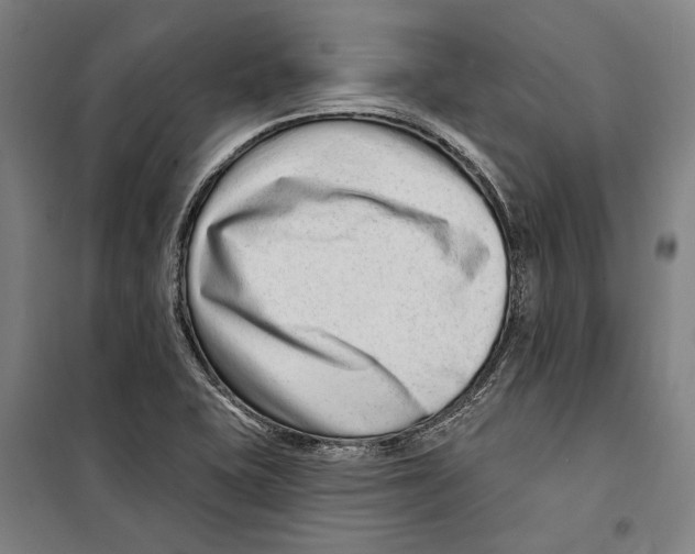 X0000099501415200806121405