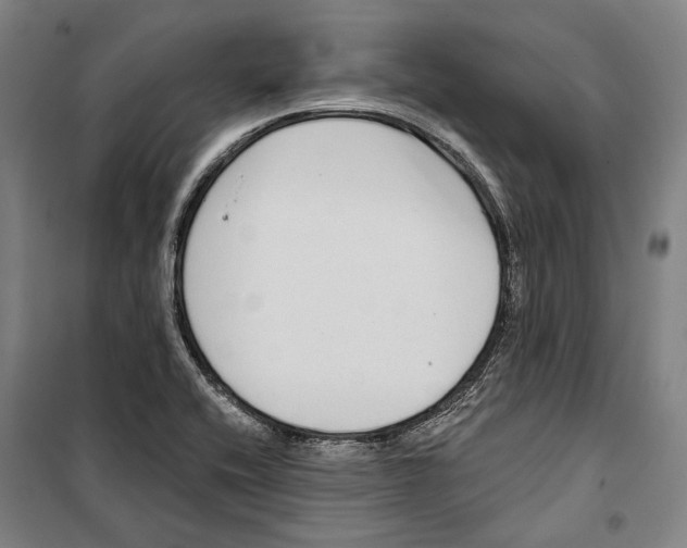 X0000099501416200806121405