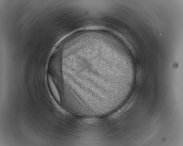 X0000099501417200806121405