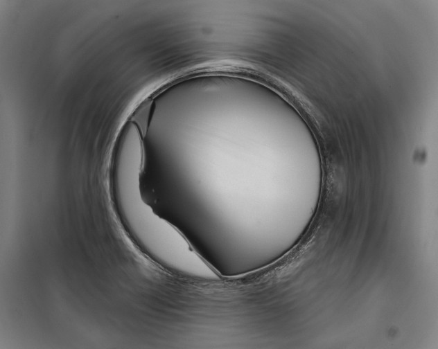 X0000099501418200806121405