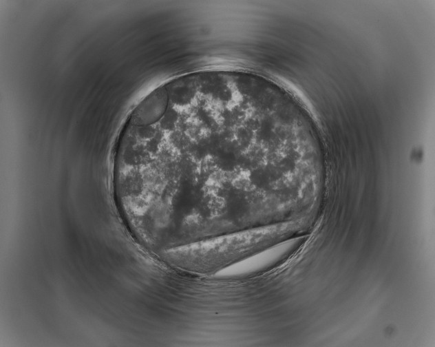 X0000099501419200806121405