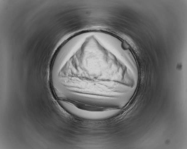 X0000099501420200806121405