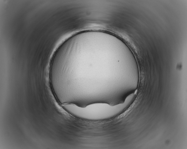 X0000099501421200806121405